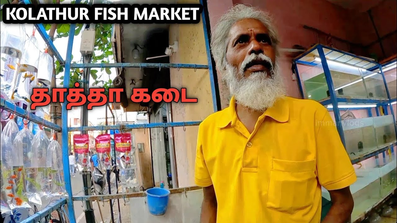 INDIA'S BIGGEST 🐠 🐟 FISH MARKET IN CHENNAI KOLATHUR 