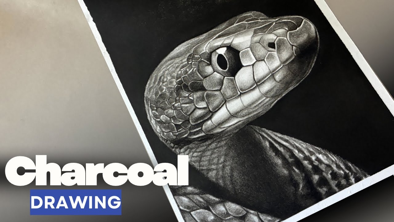 Charcoal Pencil Drawing - Snake | @DeepkaranStudio95 