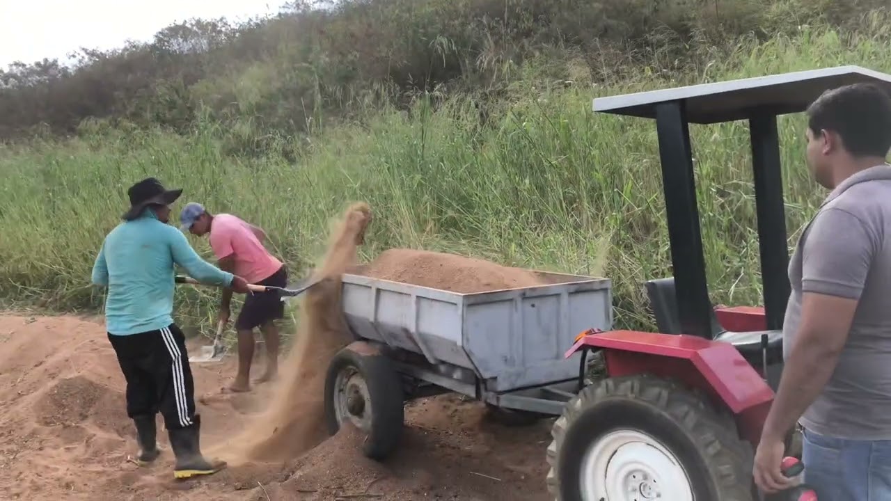 Tratozinho caseiro trabalhando