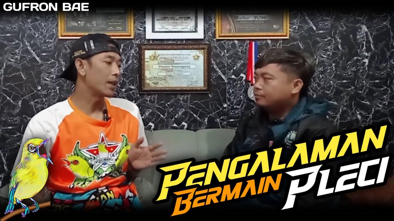 PENGALAMAN OM GUFRON BERMAIN LOMBA PLECI DI JAWABARAT - MARKAS TJM - #plecimania #podcast