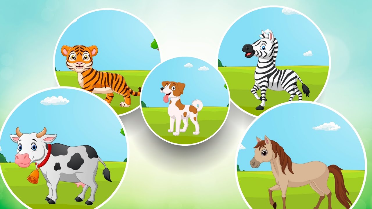Gli Animali E I Loro Versi | Video Educativi & Indovinelli per Bambini | Piccoli Saggi