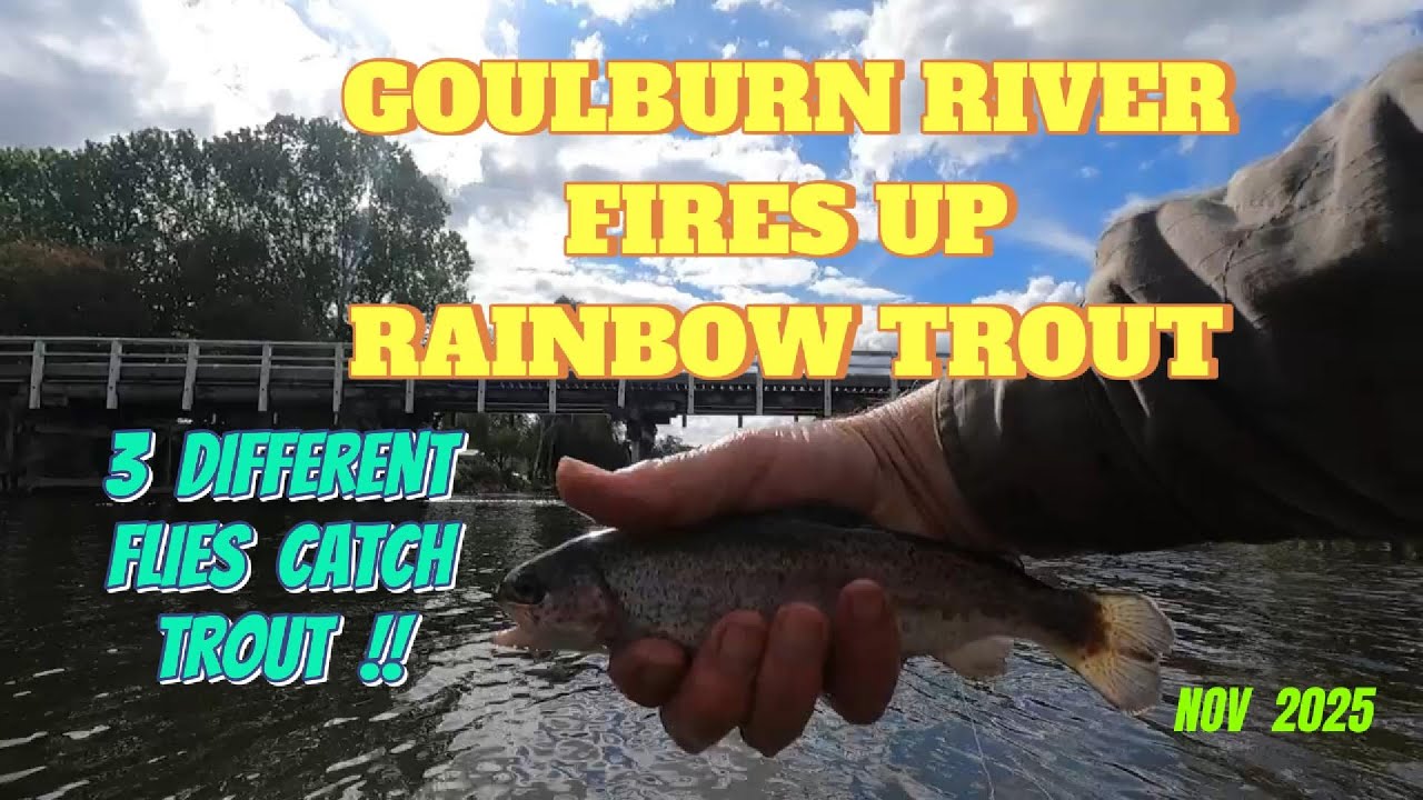 Goulburn River on Fire. Fly Fishing for Rainbow Trout  #fishing #flyfishing #australia #victoria