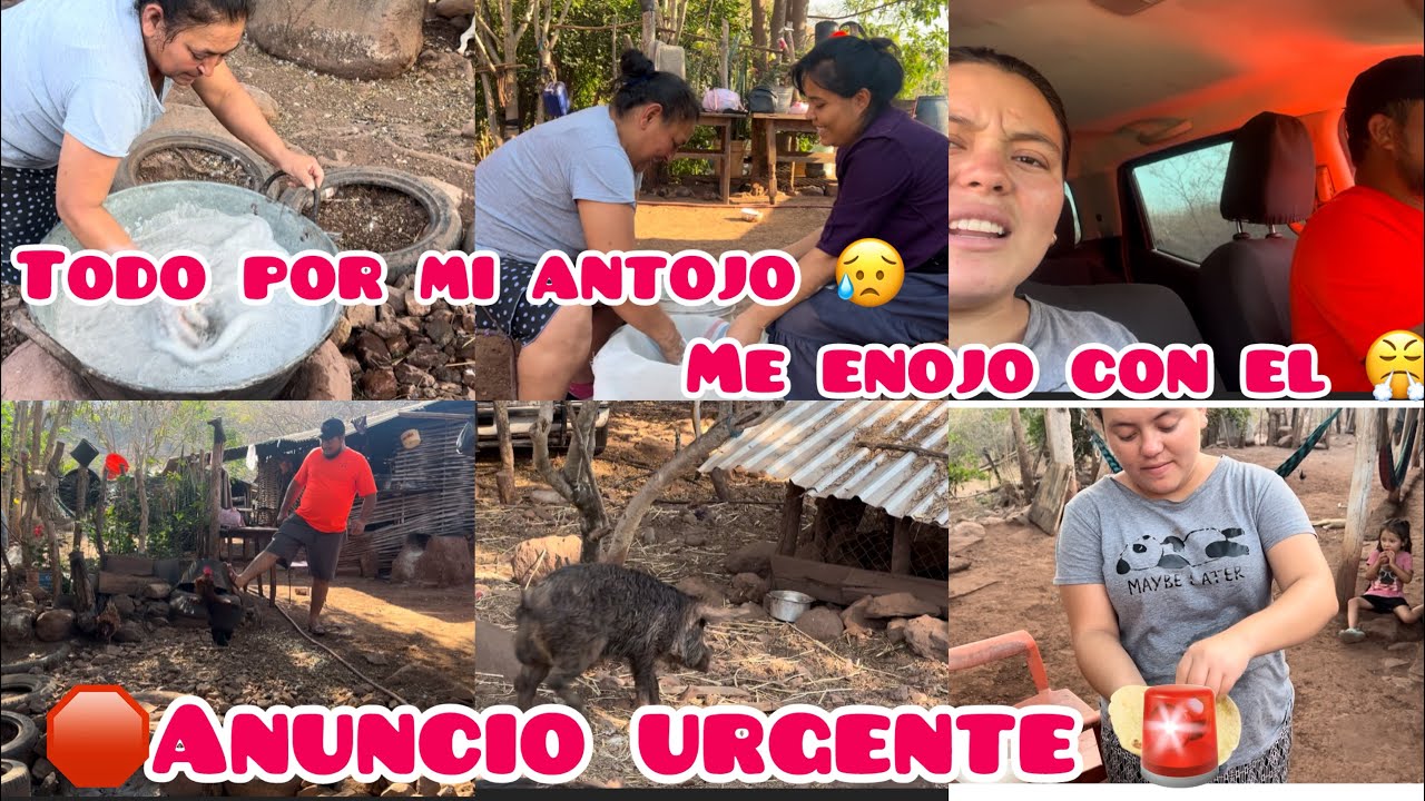 🛑Es malo ese gallo 🐔‼️Anunció 🚨todo por mis antojos 🙈Me  enrrito rápido 😤😱 