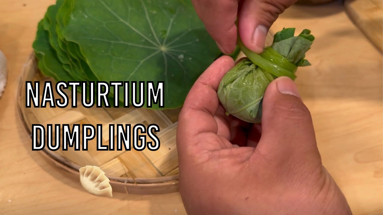 Nasturtium Dumplings