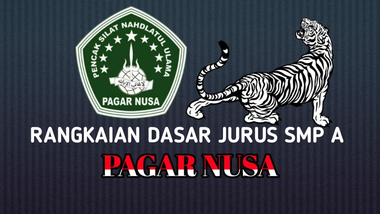 Rangkaian dasar jurus SMP A PAGAR NUSA   | Mario junet & Irvan septianto