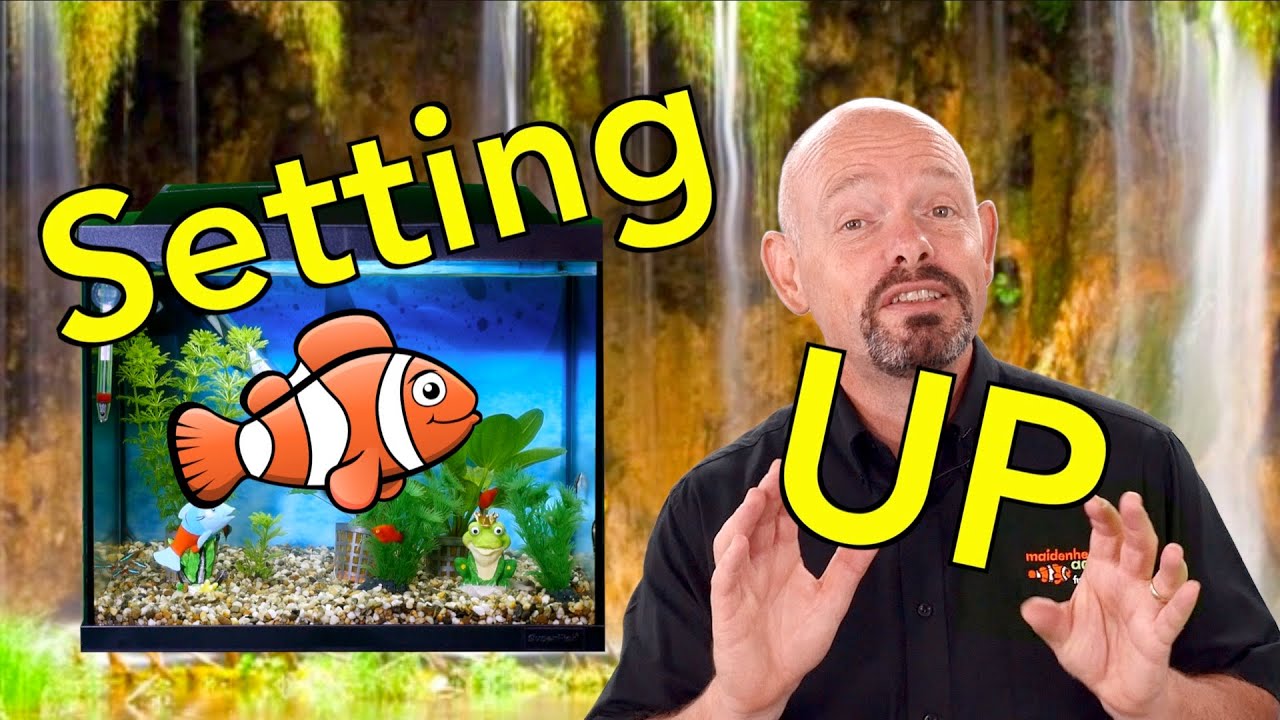 Fishkeeper Fry 2025 - Episode 1