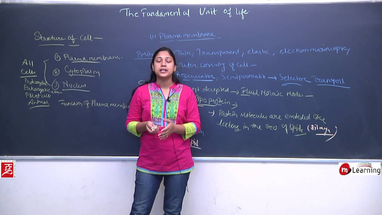 The Fundamental Unit Of Life: Structure of Cell - Plasma Membrane, Cytoplasm & Nucleus - 9th: 03/06