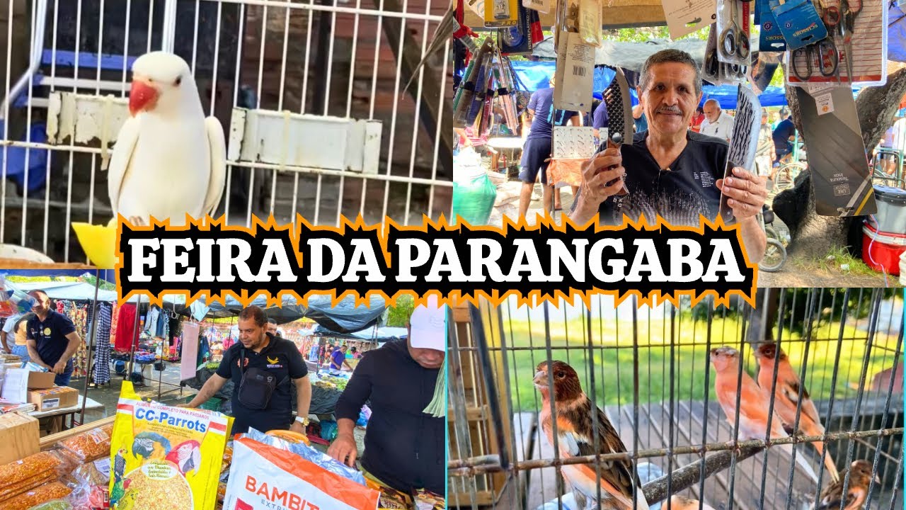 Feira da Parangaba Fortaleza-CE 27/06/2025