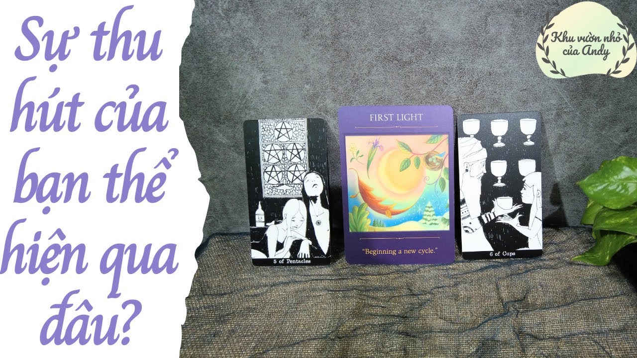 Sự thu hút của bạn thể hiện qua đâu? {Vẻ ngoài/Bên trong/Cả hai} | Chọn 1 tụ bài | Xem tarot