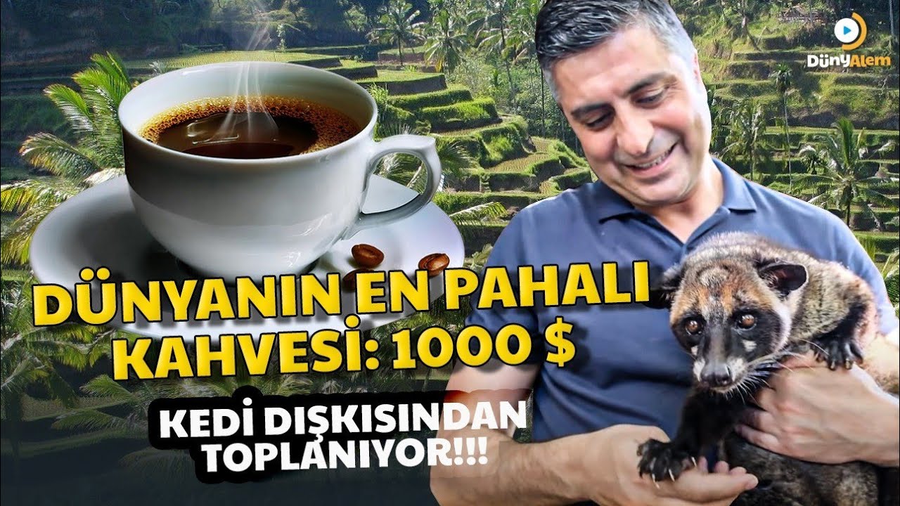 DÜNYANIN EN PAHALI KAHVESİ: 1000 $     -Endonezya 5