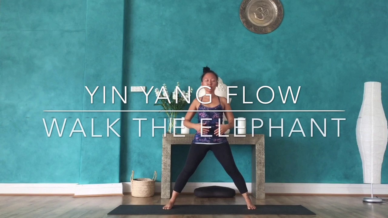 Yin Yang Flow: Walk the Elephant