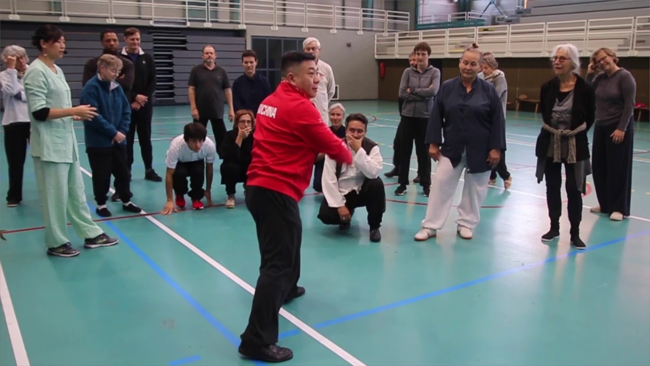 Maître Fu Qing Quan à Budo Attitude - stage de tai ji quan