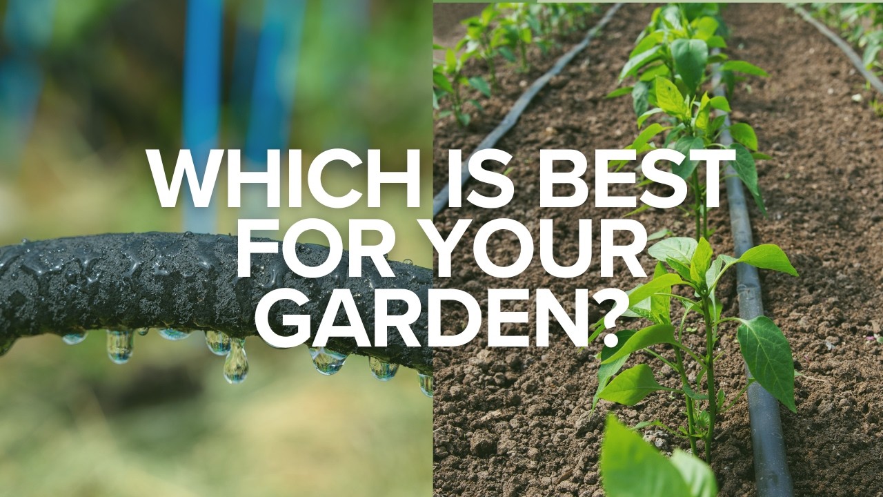 Soaker Hose vs Drip Line: Which Irrigation System Is Best for Your Garden?