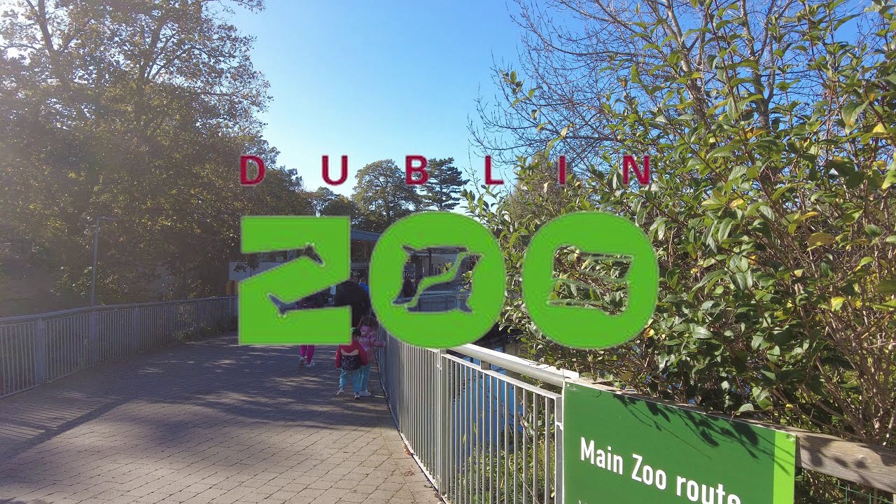 Dublin Zoo  - (19-12-2023)
