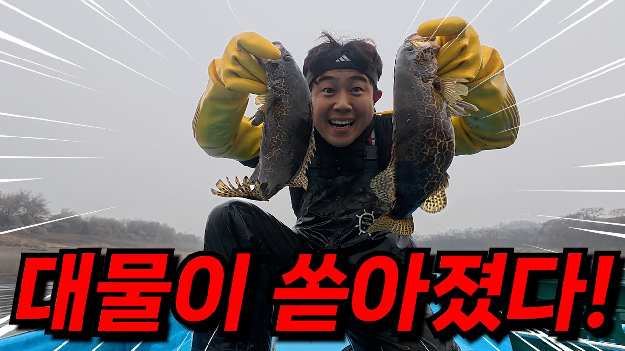 이렇게 비싼 대물이 많이 나온적은 처음입니다.. 도대체 얼마야..ㄷㄷ