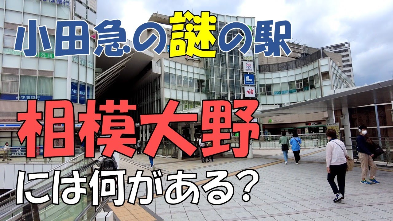 相模大野の住みやすさ。ローカルな雰囲気が魅力のベッドタウン【相模原市】