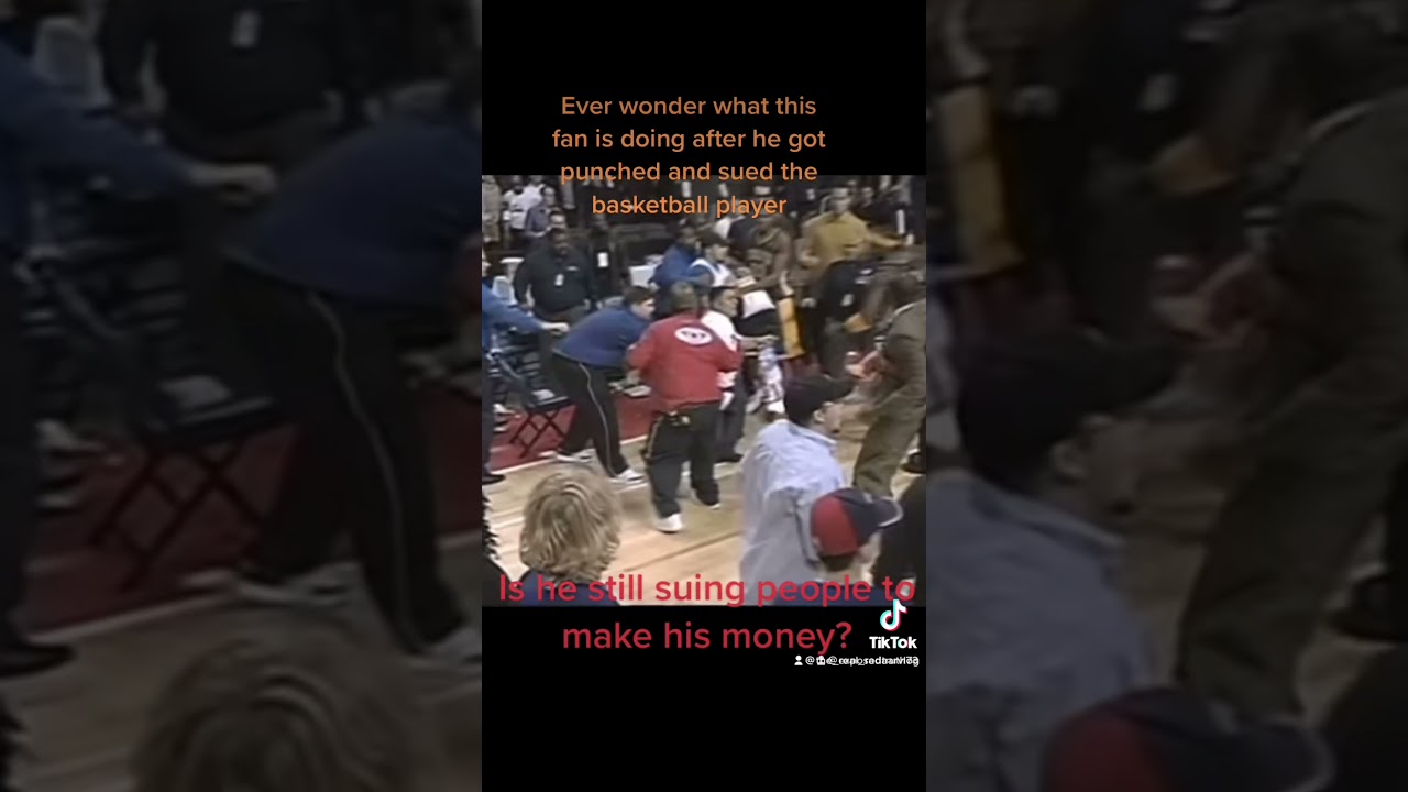 The malice at the palace #2004 #nba #basketball #ronartest #brawl #pacers #pistons #johngreen