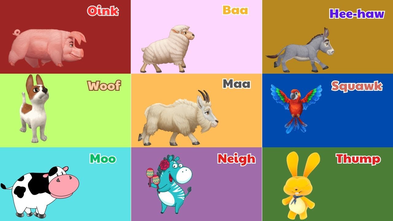 Farm Animal Sounds Song | Guess the Animal Sounds | Kids TV Education