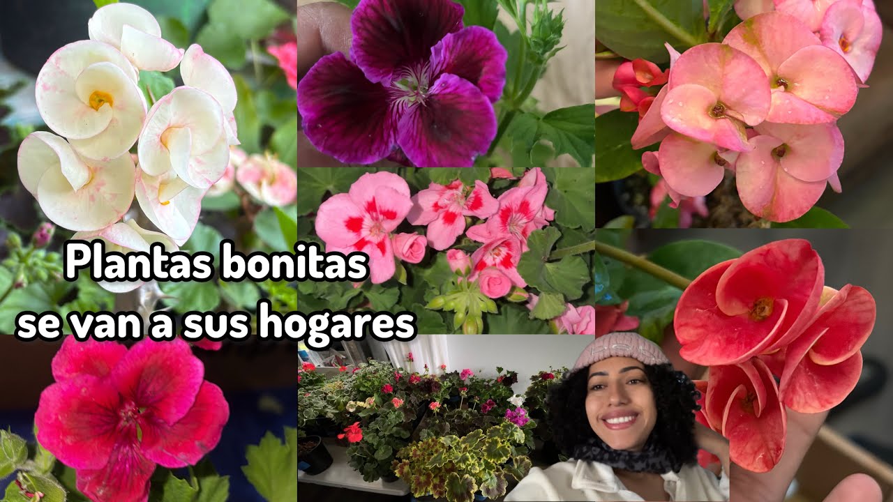 Un día más de trabajo 