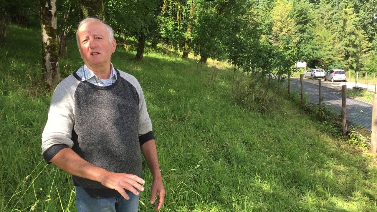 Alain Ratinaud raconte le massacre de ses brebis &agrave; Montbron