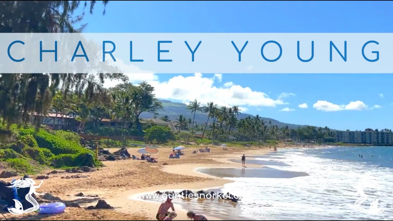 Charley Young Beach Park - Auntie Snorkel's Maui Beach Guides