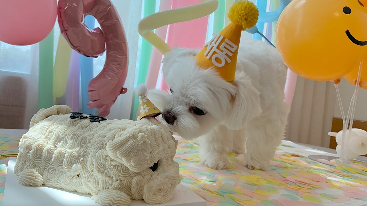 이게 다 뭐야? 생일이 뭐야?