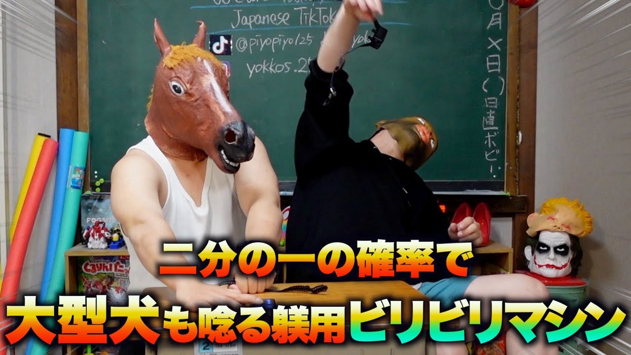 ⚡️大型犬も唸る躾用ビリビリマシンを回避するゲーム