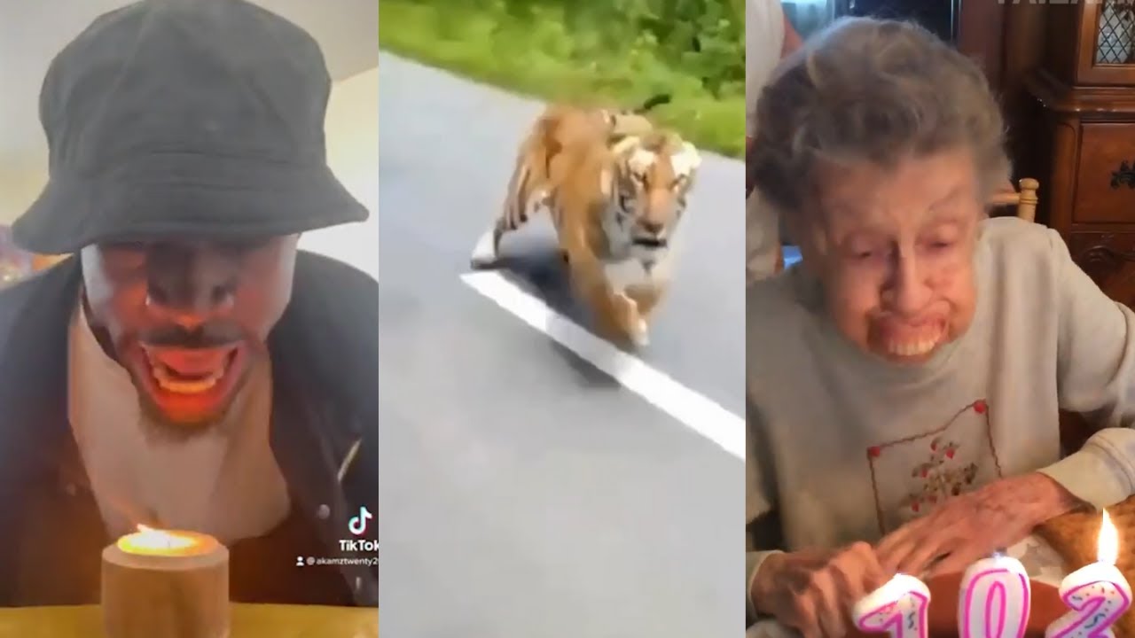 Videos I found on Reddit - r/unexpected - Complication #12