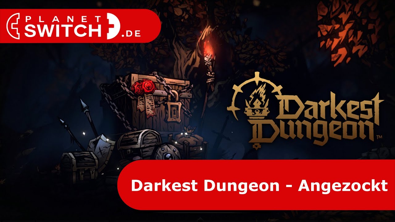 Darkest Dungeon (Switch) - Angezockt