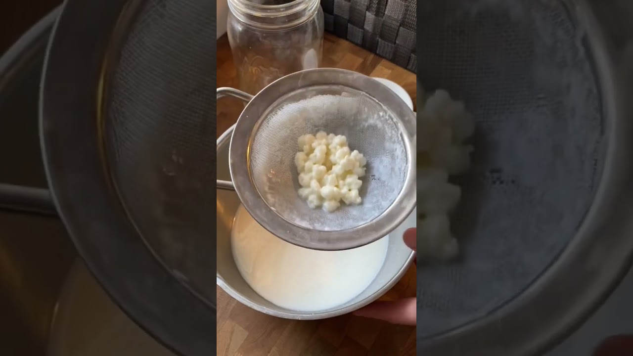 Making Kefir at Home is Easy!!! #largefamily #kefir #homemade #healthyfood