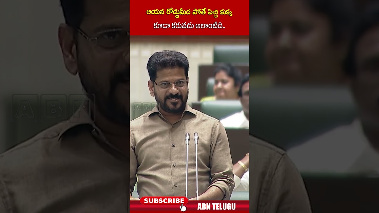 ఆయన రోడ్డుమీద పోతే పిచ్చి కుక్క కూడా కరువదు అలాంటిది #cmrevanthreddy #ktr #shorts #abnnews