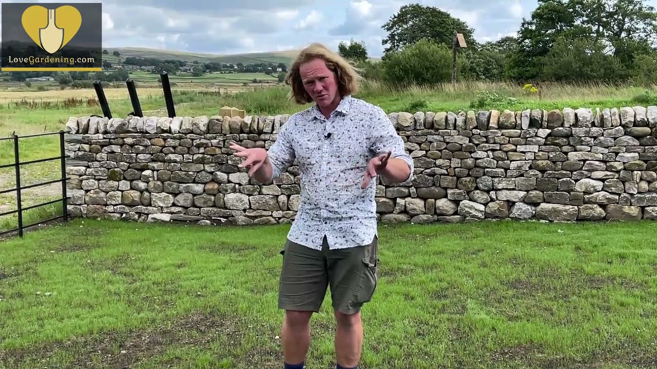 How to grow a lawn from seed with Chris Myers