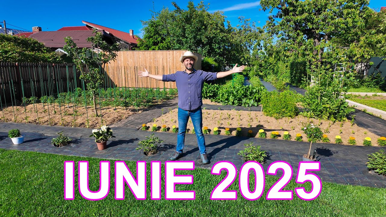 PARADISUL MEU - IUNIE 2025 - CUM ARATĂ GRĂDINA LA ÎNCEPUTUL LUNII IUNIE