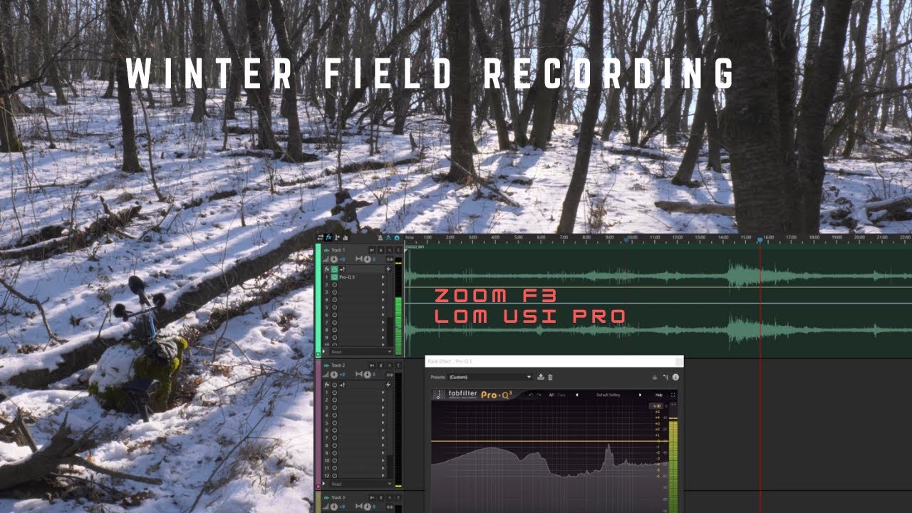 Zoom F3 and Lom Usi Pro microphones - Winter Field Recording #asmrnature
