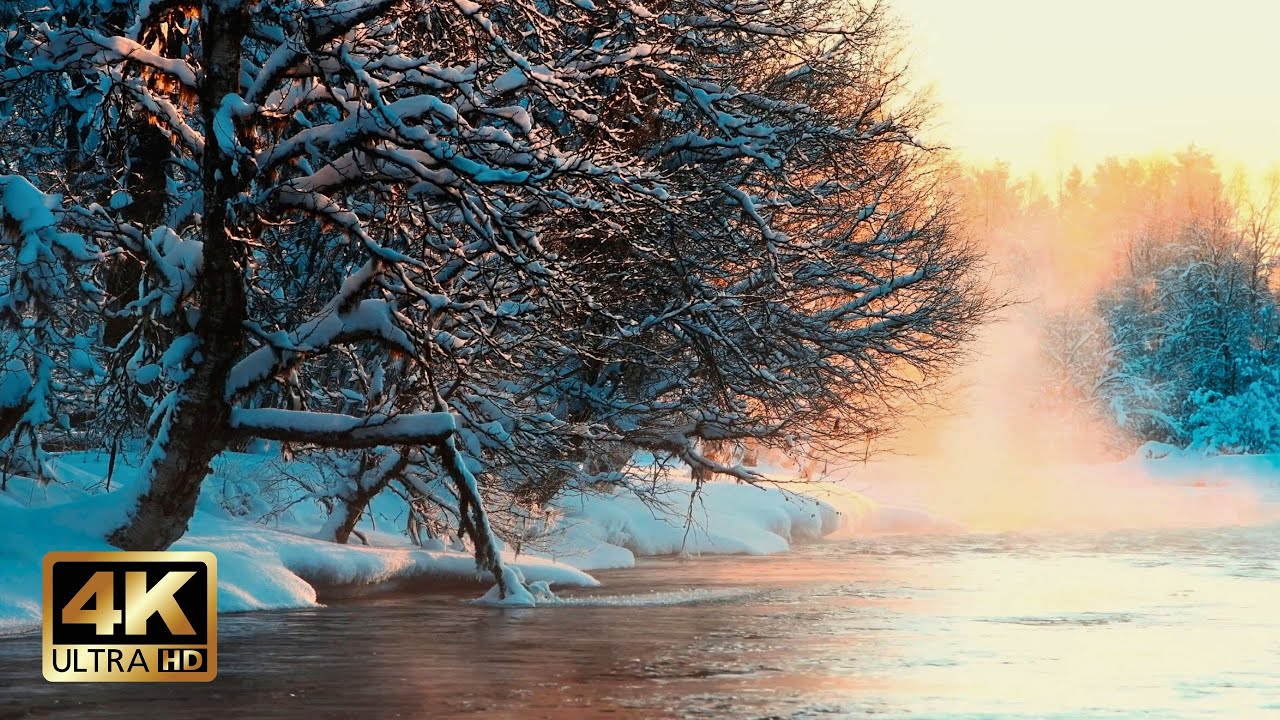 Misty Winter River in Sweden | 10h Calm Nature Ambience for Sleep & Relaxation