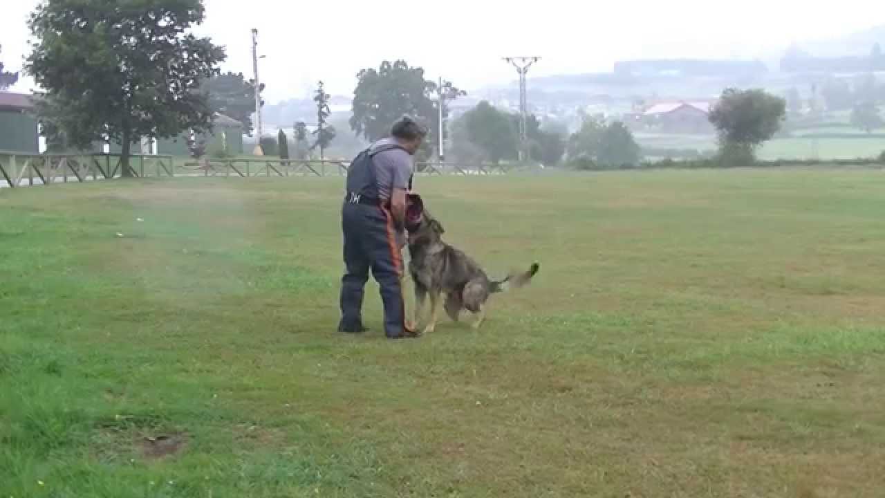 entreno llanera 011