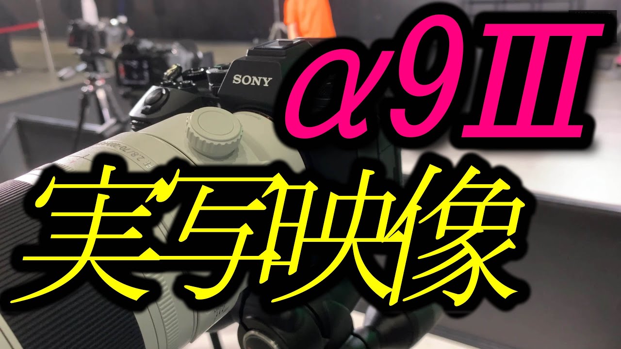 SONY  α9Ⅲ　世界初グローバルシャッターの実力。