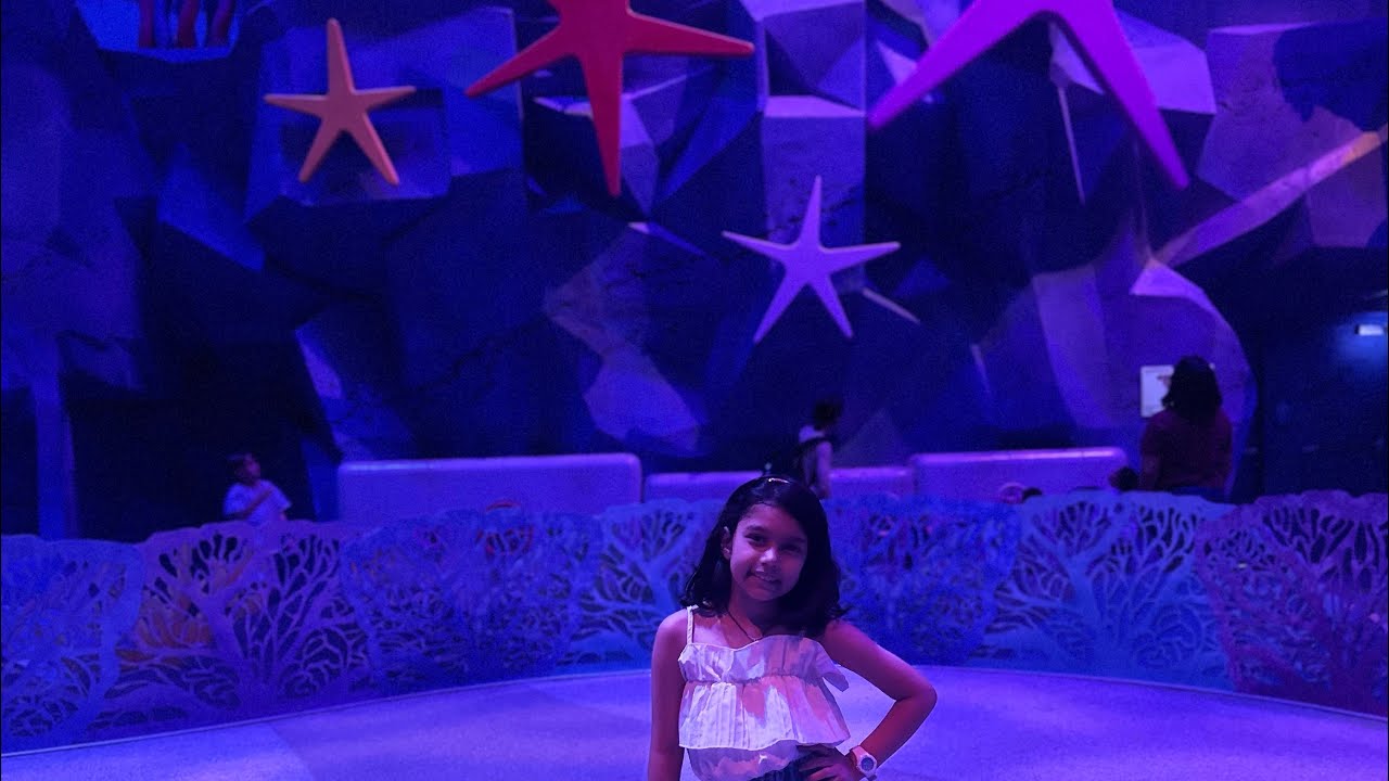 Sea 🌊 world @Abudhabi 
