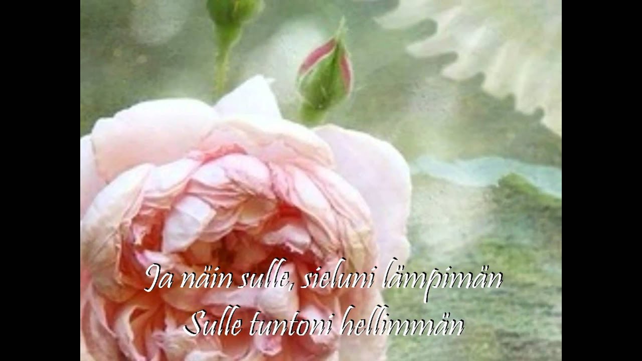 Tapani Kansa: Sulle +Lyrics