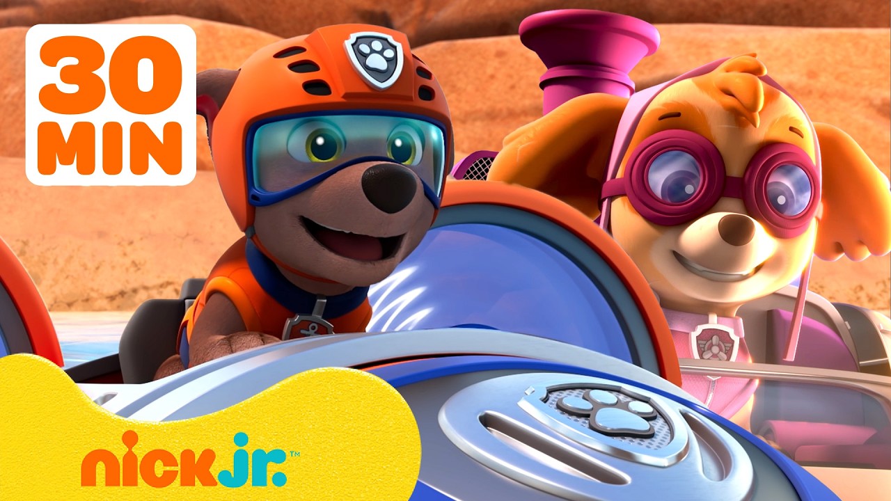 PAW Patrol Air & Sea Rescues! #3 w/ Skye and Zuma | 30 Minutes | Nick Jr.
