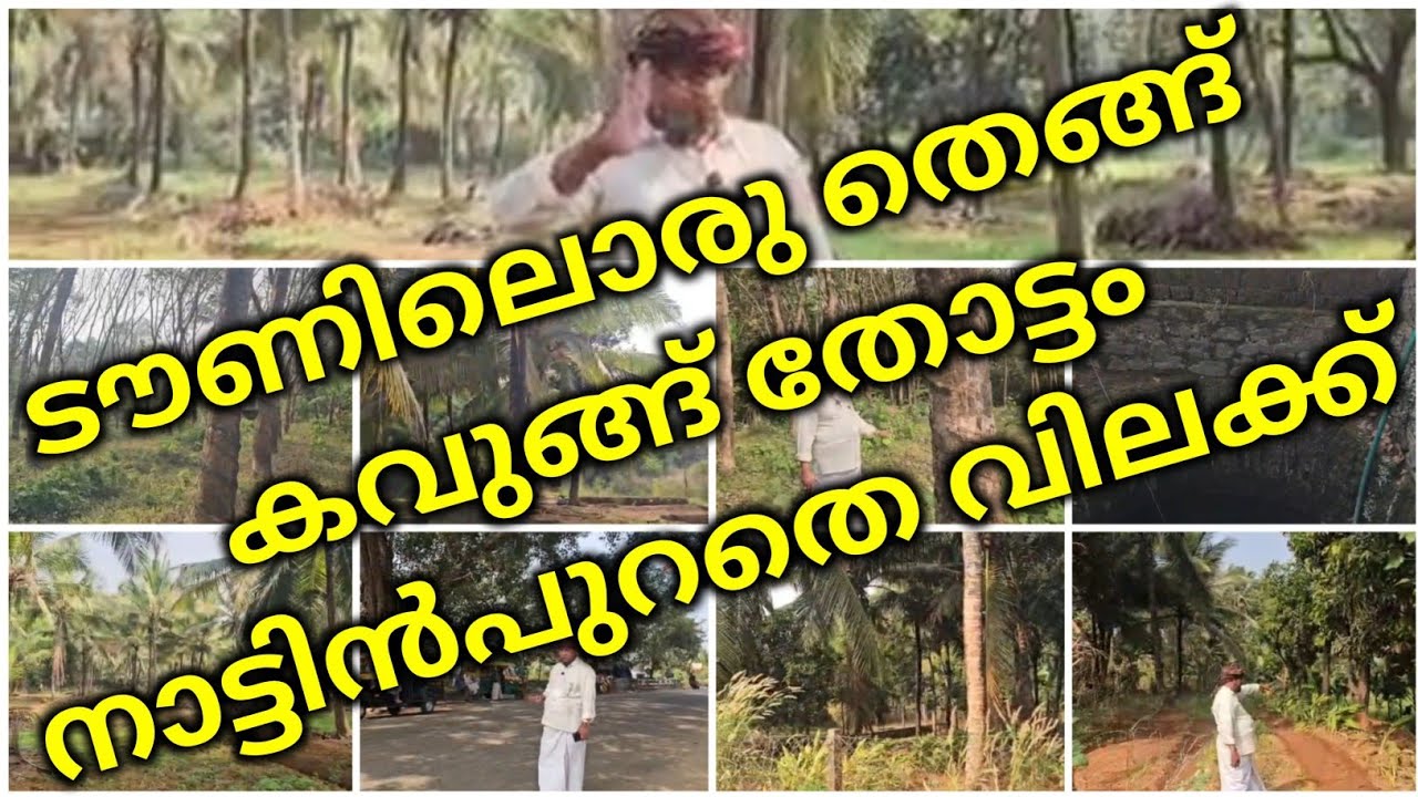 ടൗണിലൊരു തെങ്ങ് കവുങ്ങ് തോട്ടം നാട്ടിൻപുറതെ വിലക്ക് | plotes for sale in palakkad |