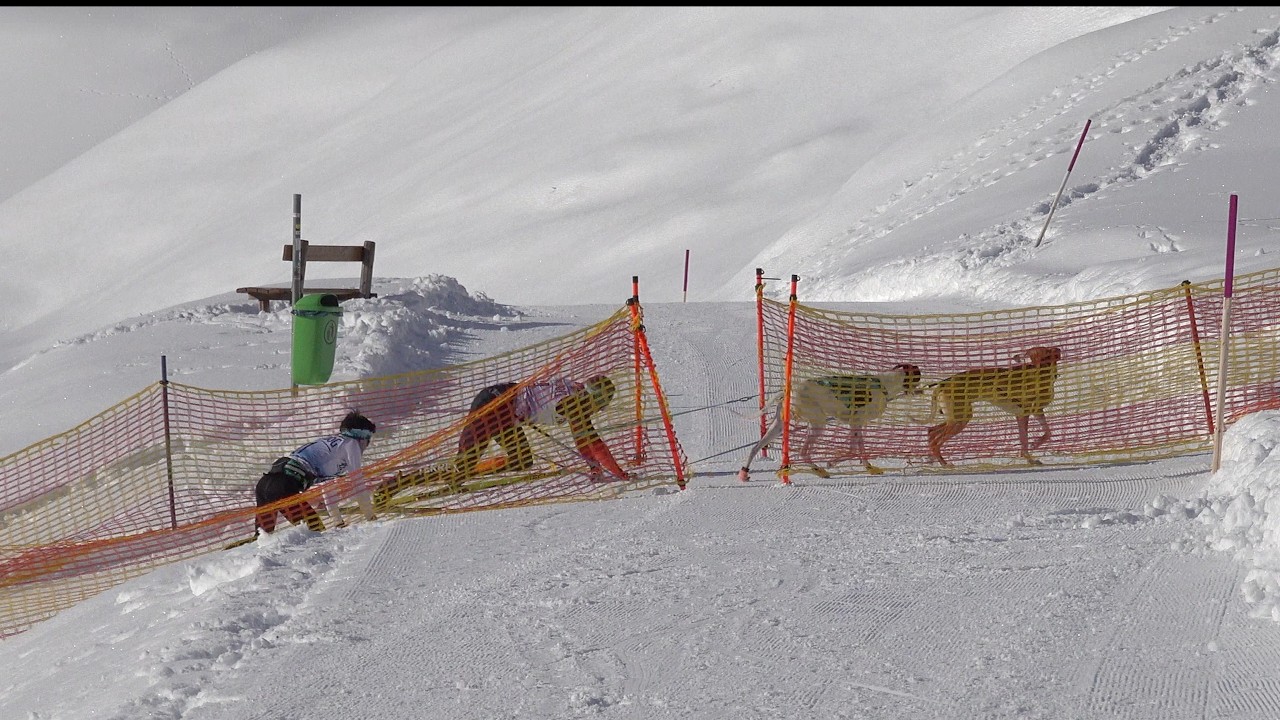 Internationales Schlittenhunderennen in Sportgastein 28. 02. 2026