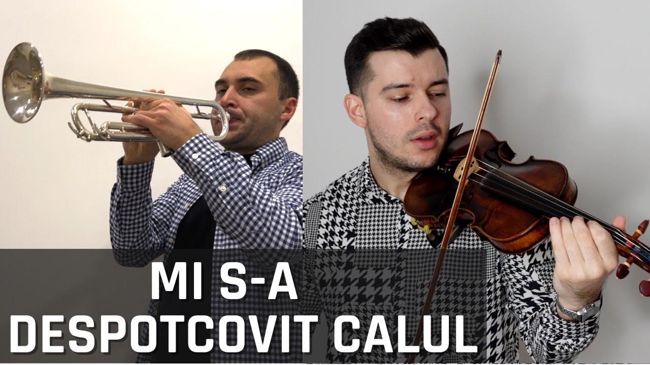 MI S-A DESPOTCOVIT CALUL / feat. 