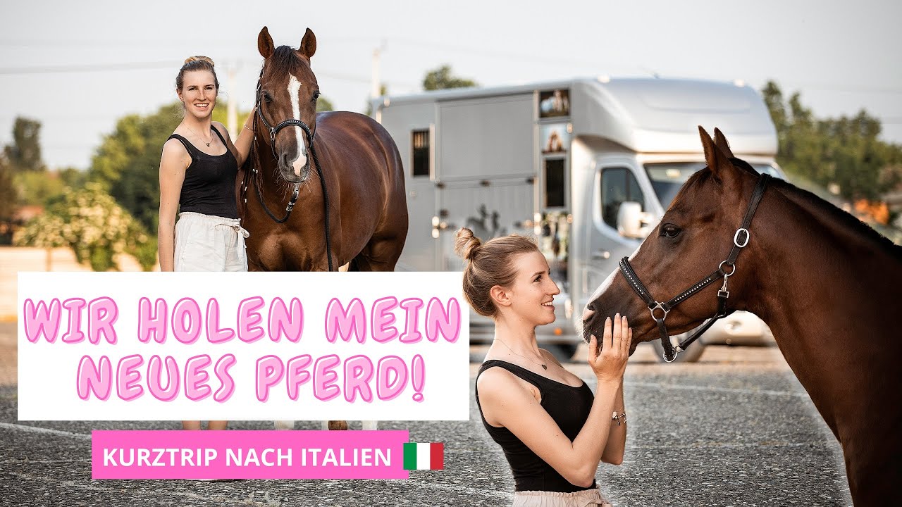 💗Wir holen mein neues Pferd ab!😱😍💗 #CHAOSTRIP