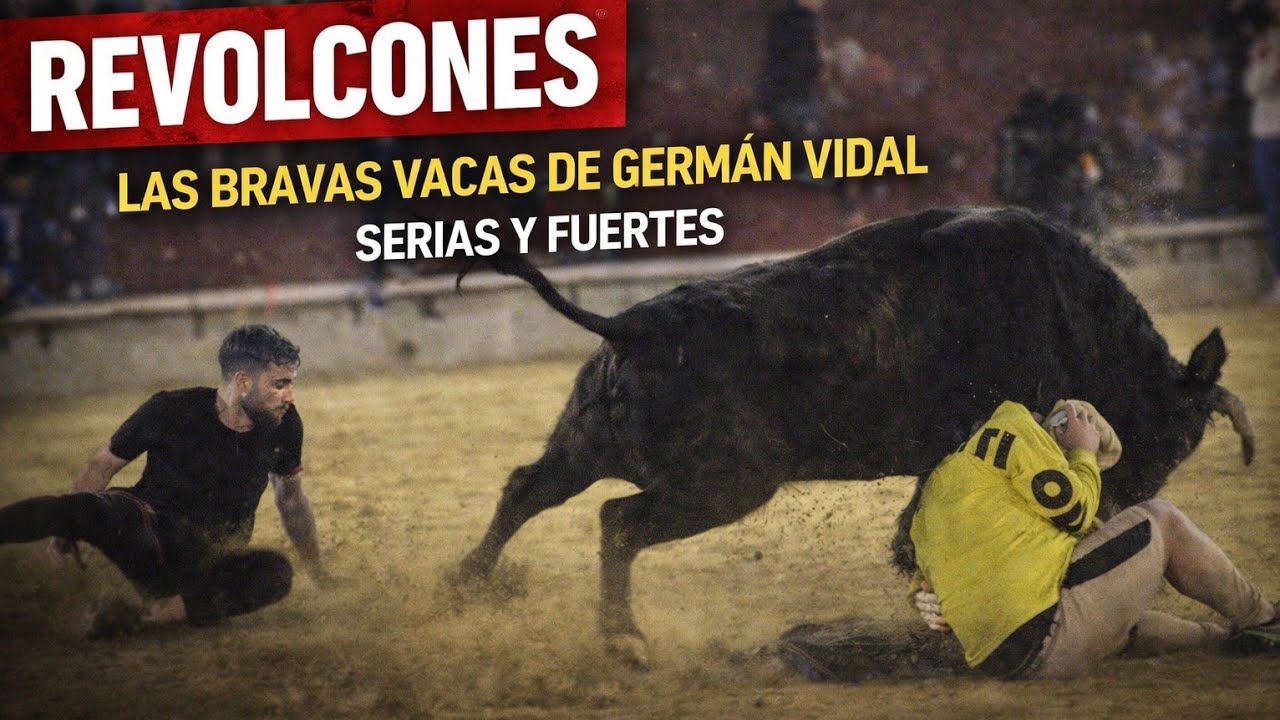 Castellon Otra noche en fiestas con las vacas Madaleneras - German Vidal