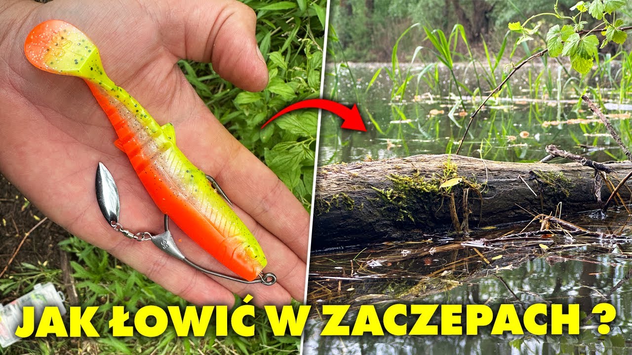 JAK ŁOWIĆ w ZACZEPACH ?