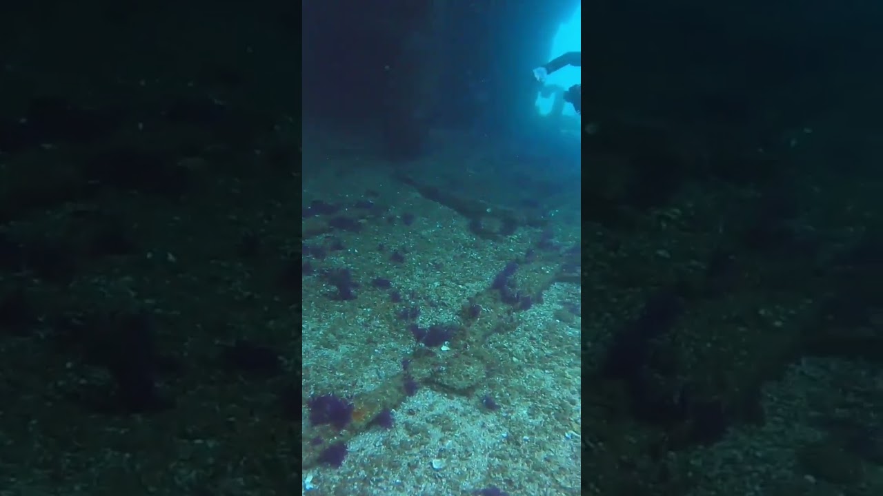 Wreck dive in Oman 