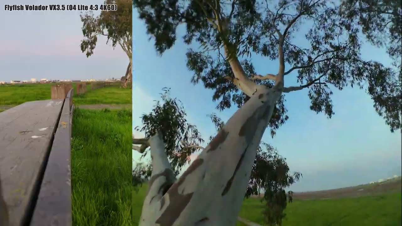 FPV ASMR (BRO)