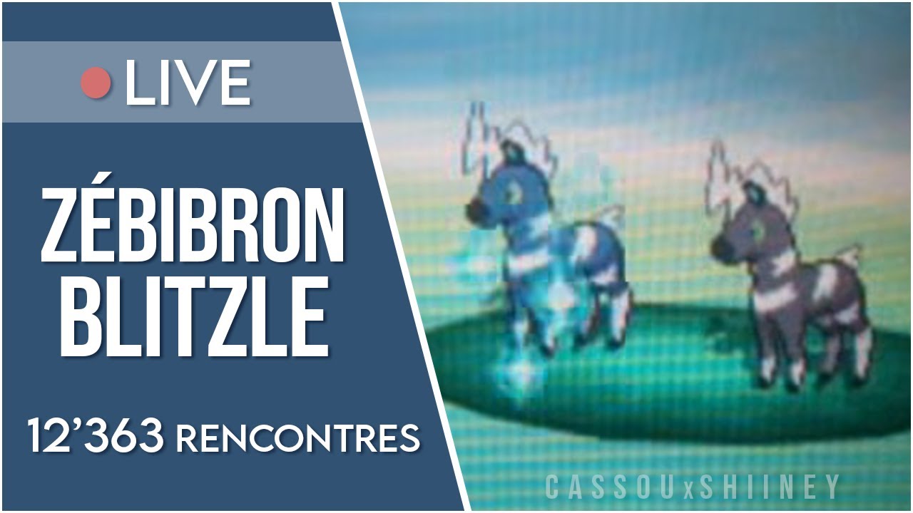 [ LIVE ! ] Shiny Blitzle, 12'363 encounters | Zébibron shiny