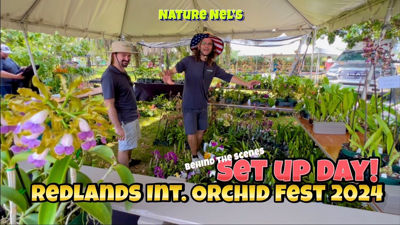 Go behind the scenes of the greatest orchid festival in the country. Also helpful hints to prep. ☀️